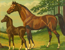 horses.jpg (73397 bytes)